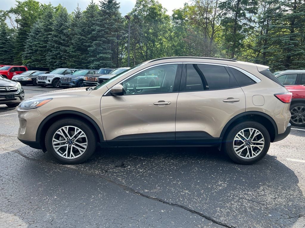 2021 Ford Escape SEL