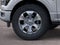 2026 Ford F-150 Platinum InTransit