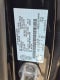 2022 Ford Escape Hybrid Titanium