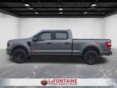 2022 Ford F-150 Platinum