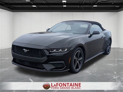 2024 Ford Mustang EcoBoost