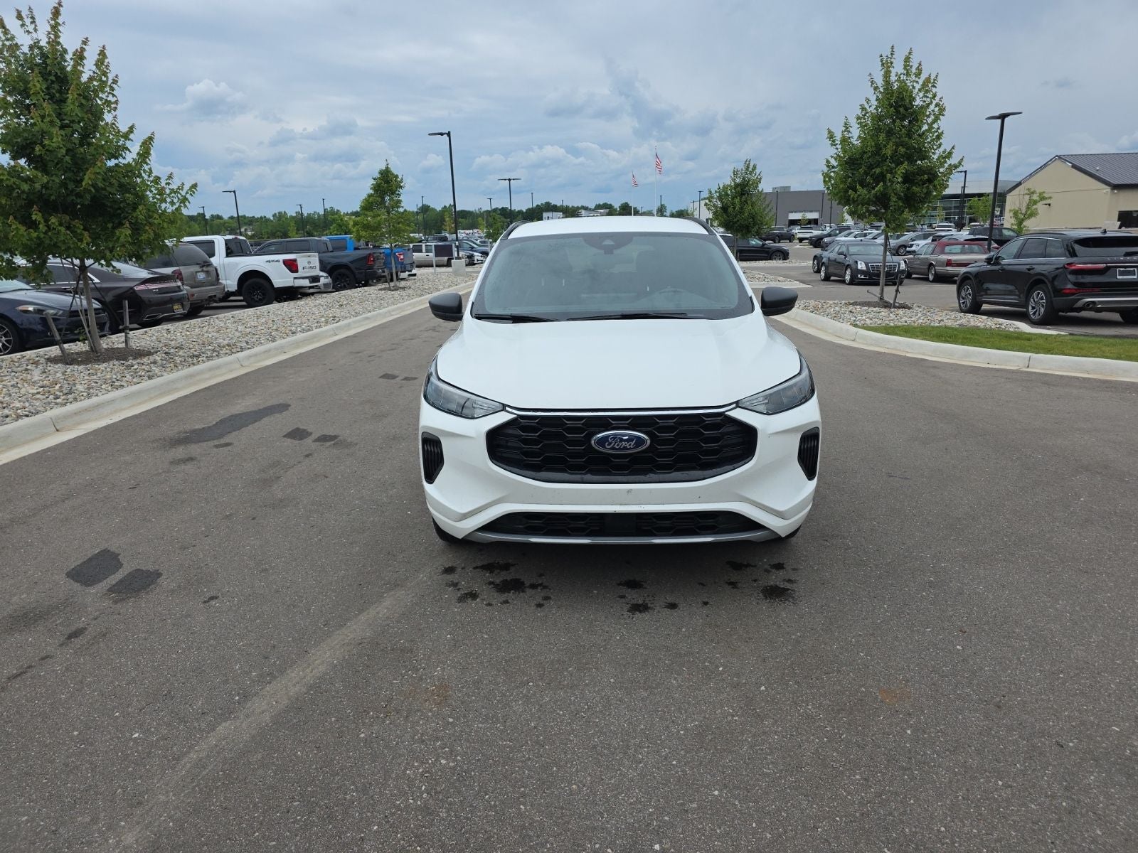 2024 Ford Escape ST-Line