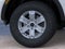 2026 Ford Ranger XL In-Transit