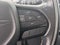 2019 Chrysler Pacifica Limited S Appearance Pkg